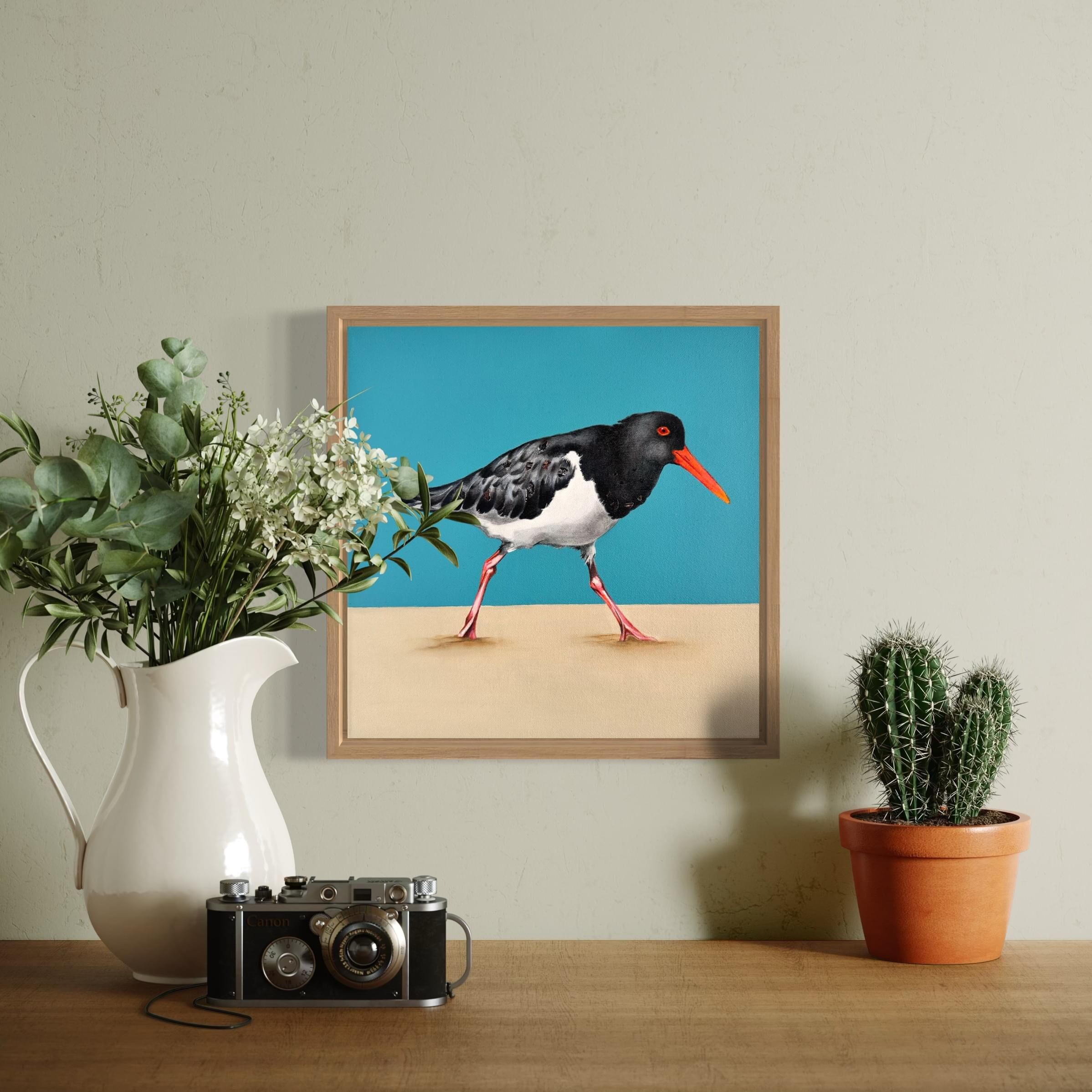 Australian Pied Oystercatcher modern original art framed