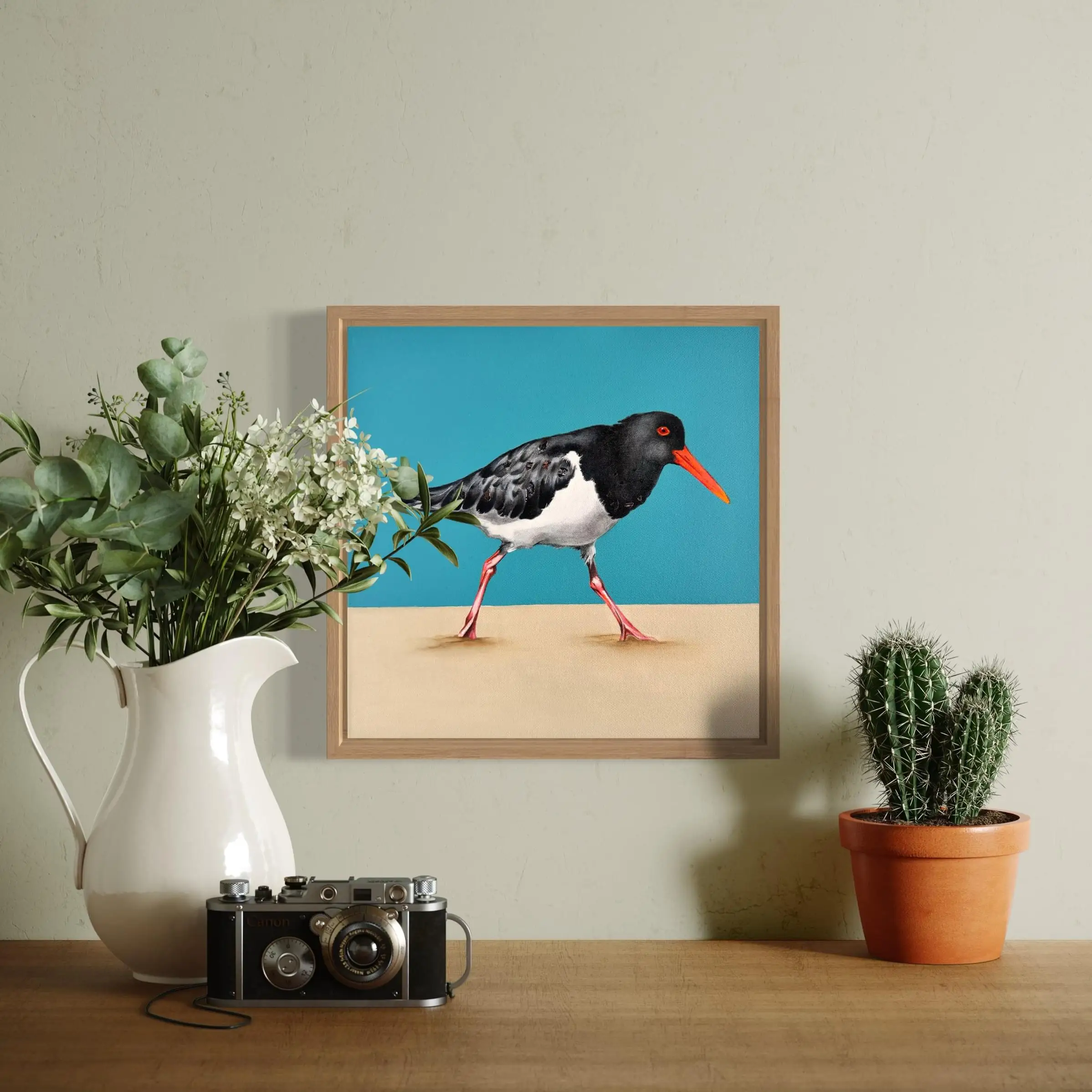 Australian Pied Oystercatcher modern original art framed