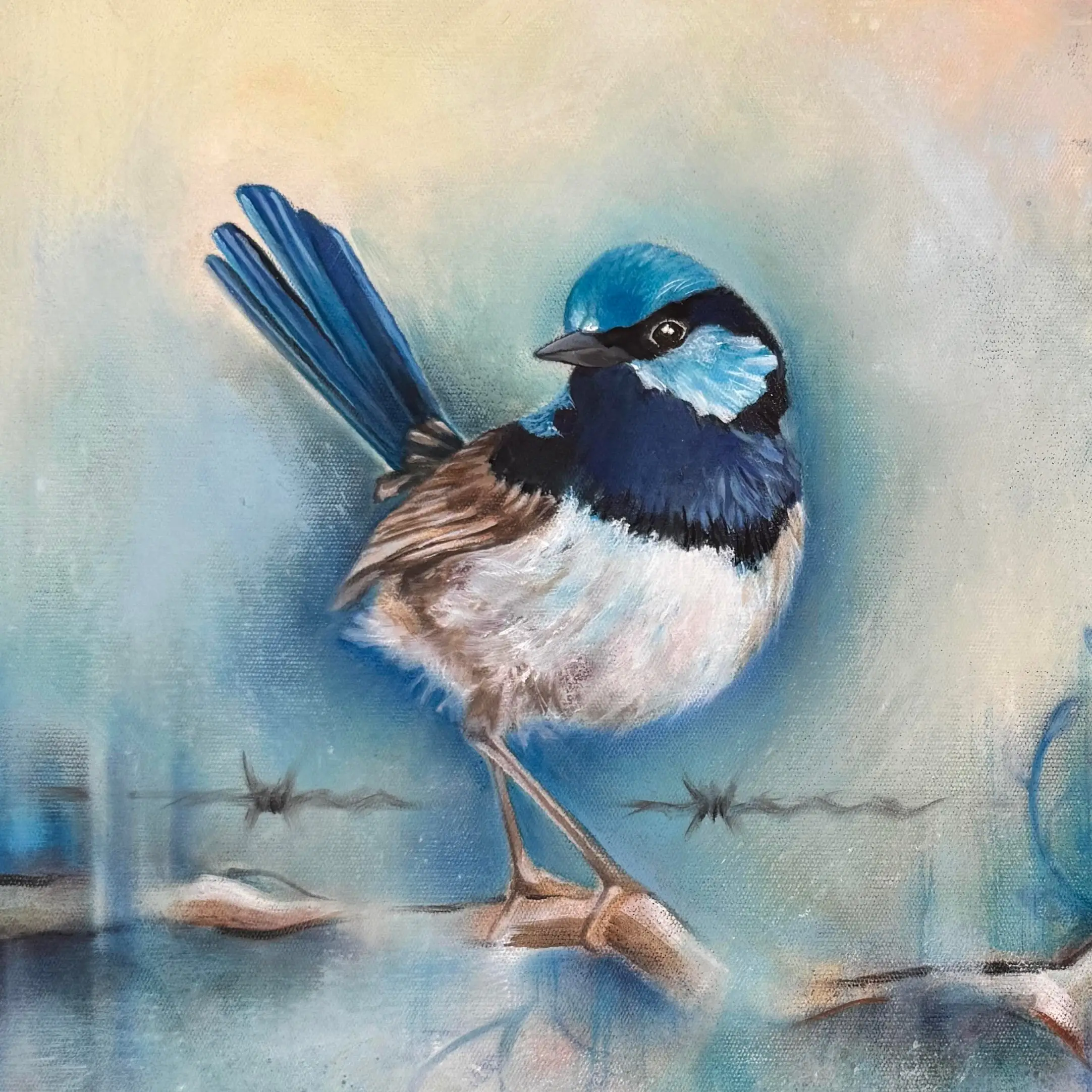 Superb fairy wren modern original art framed 