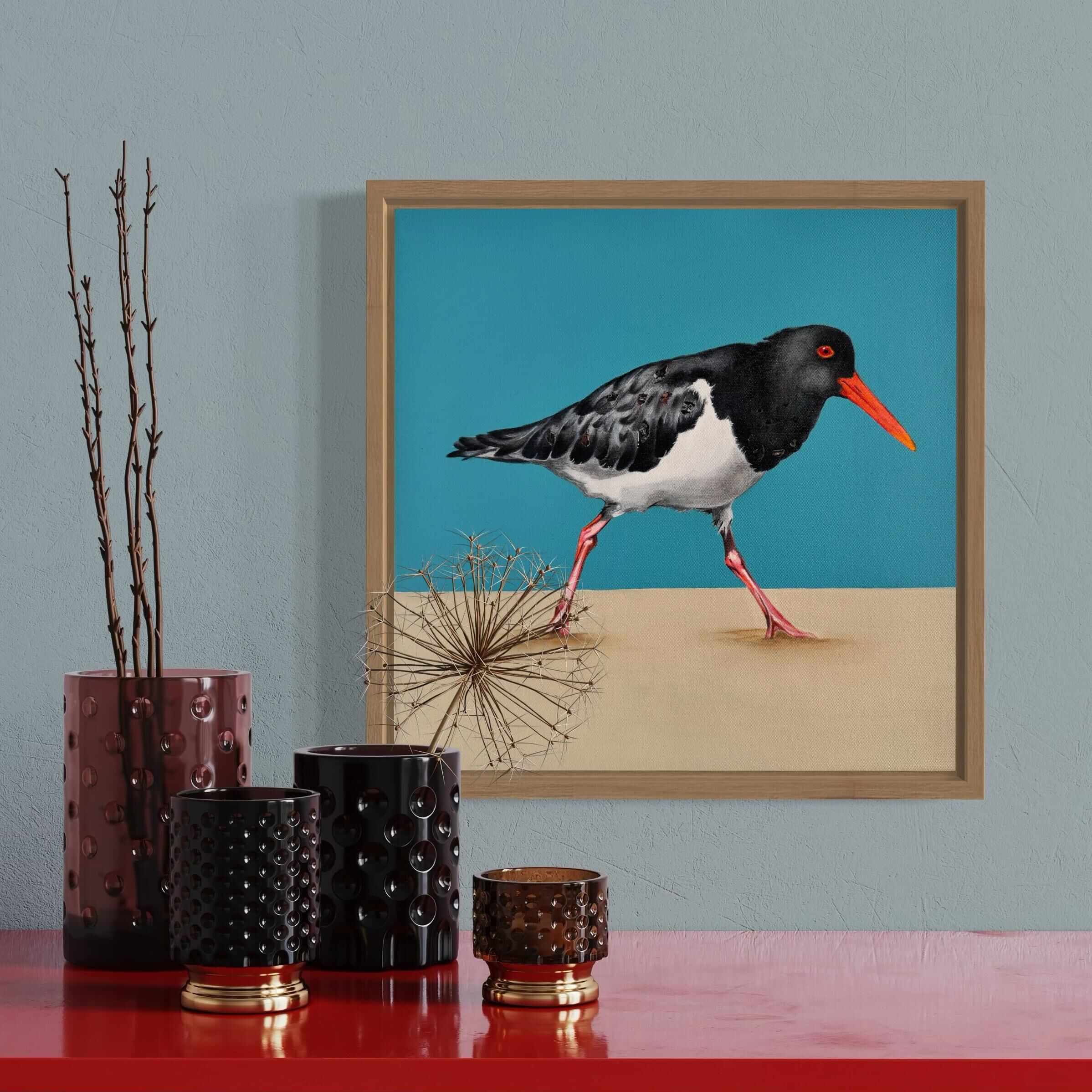 Australian Pied Oystercatcher modern original art framed