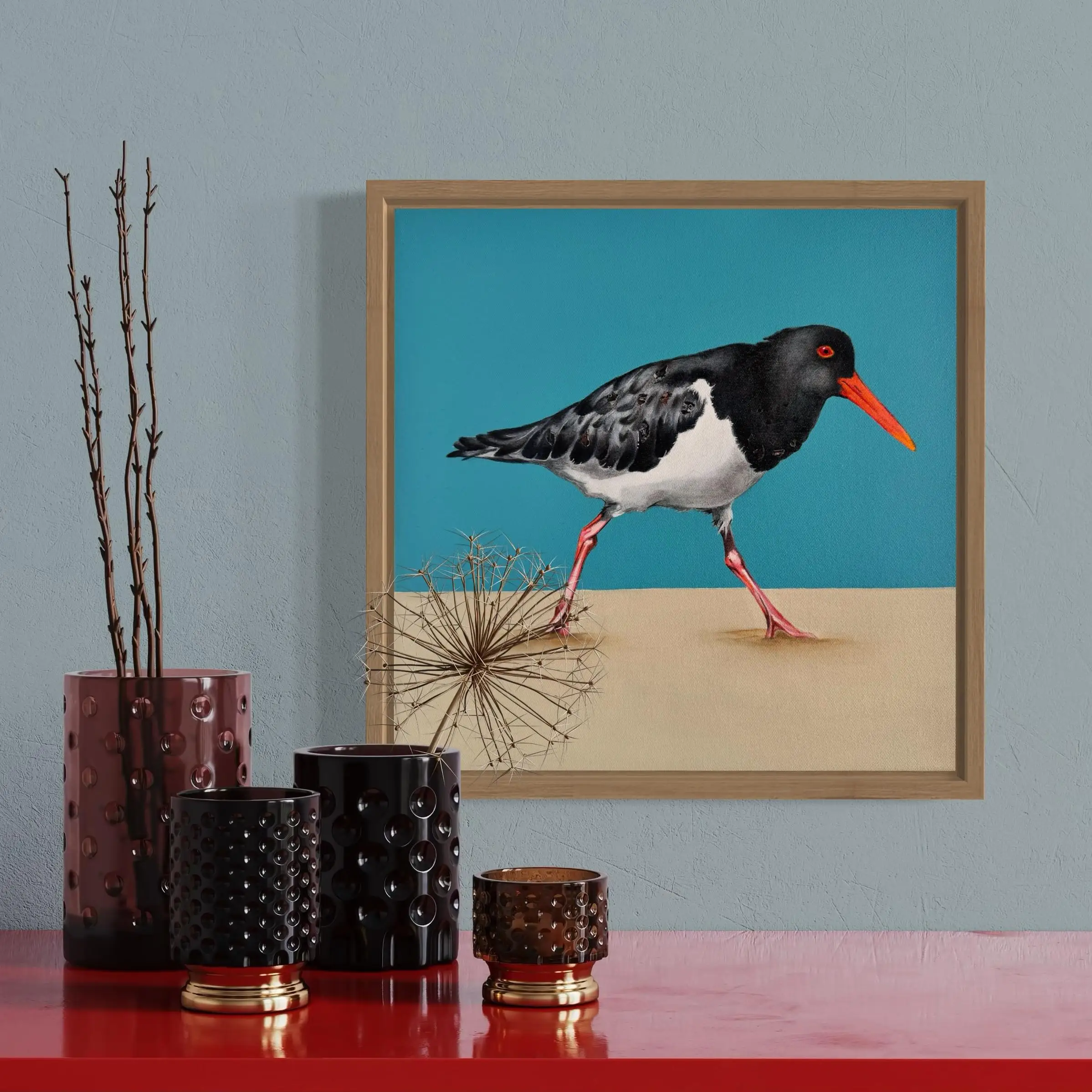 Australian Pied Oystercatcher modern original art framed