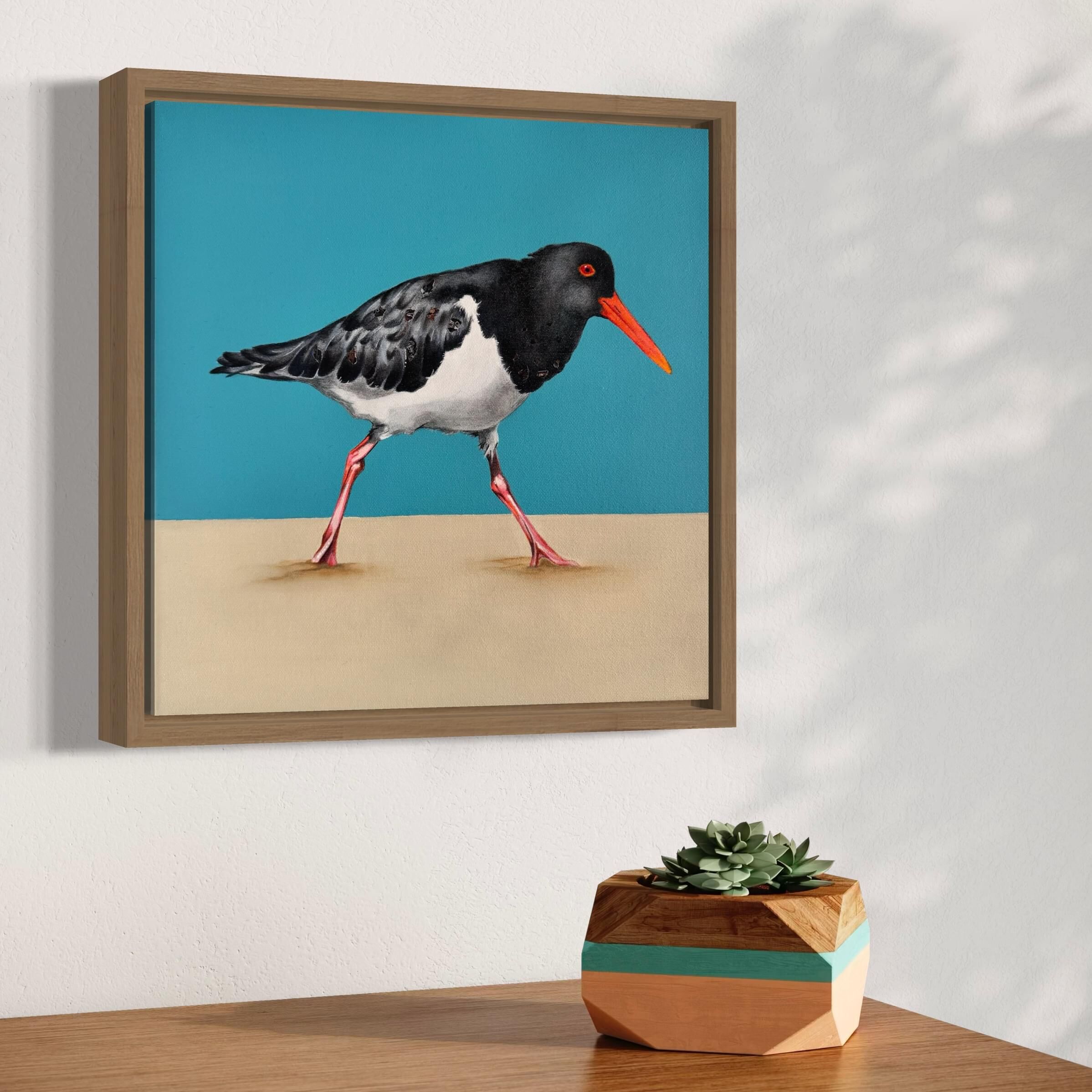 Australian Pied Oystercatcher modern original art framed