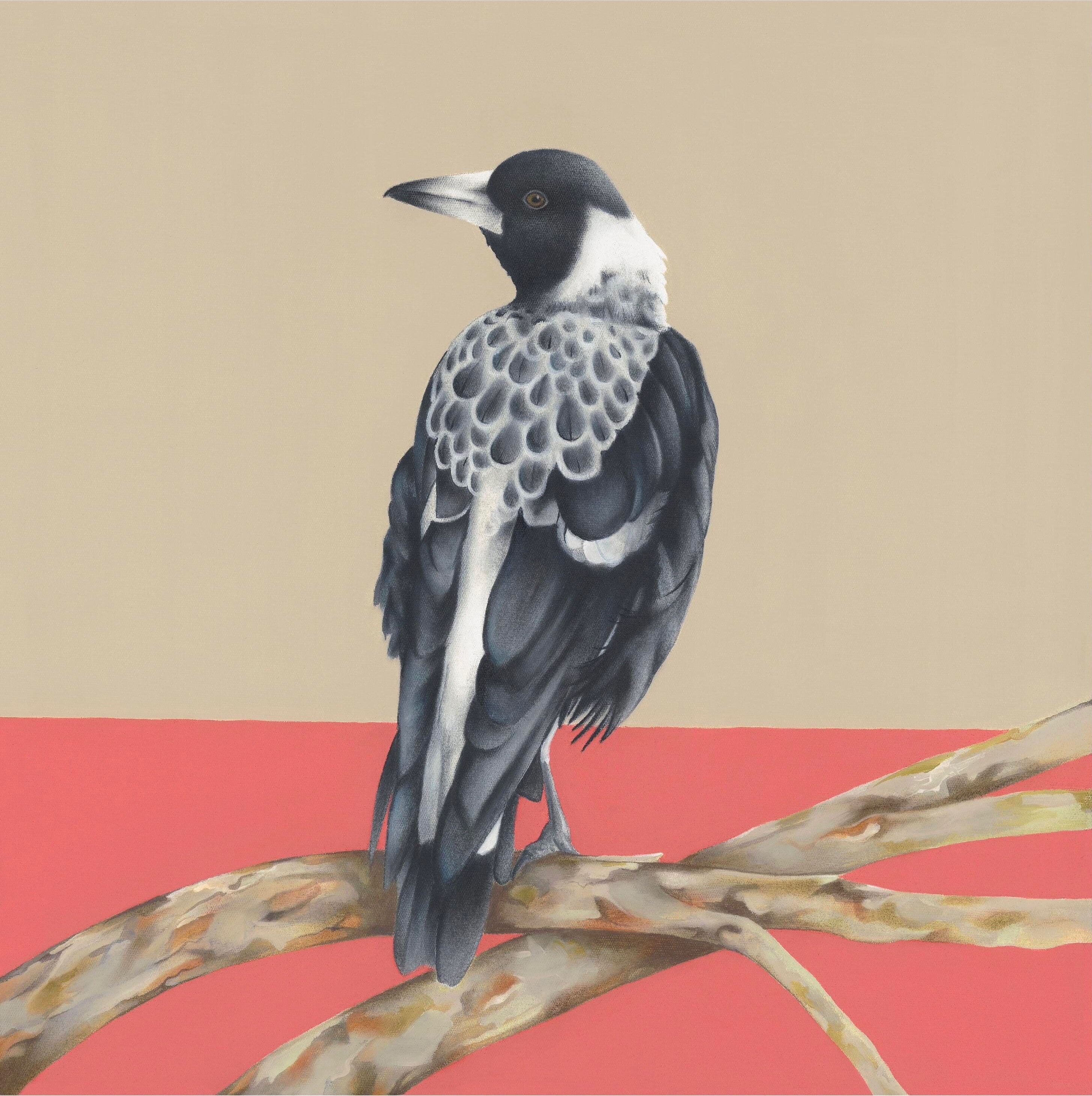 Sarah Gowland_magpie_original art (Edit)