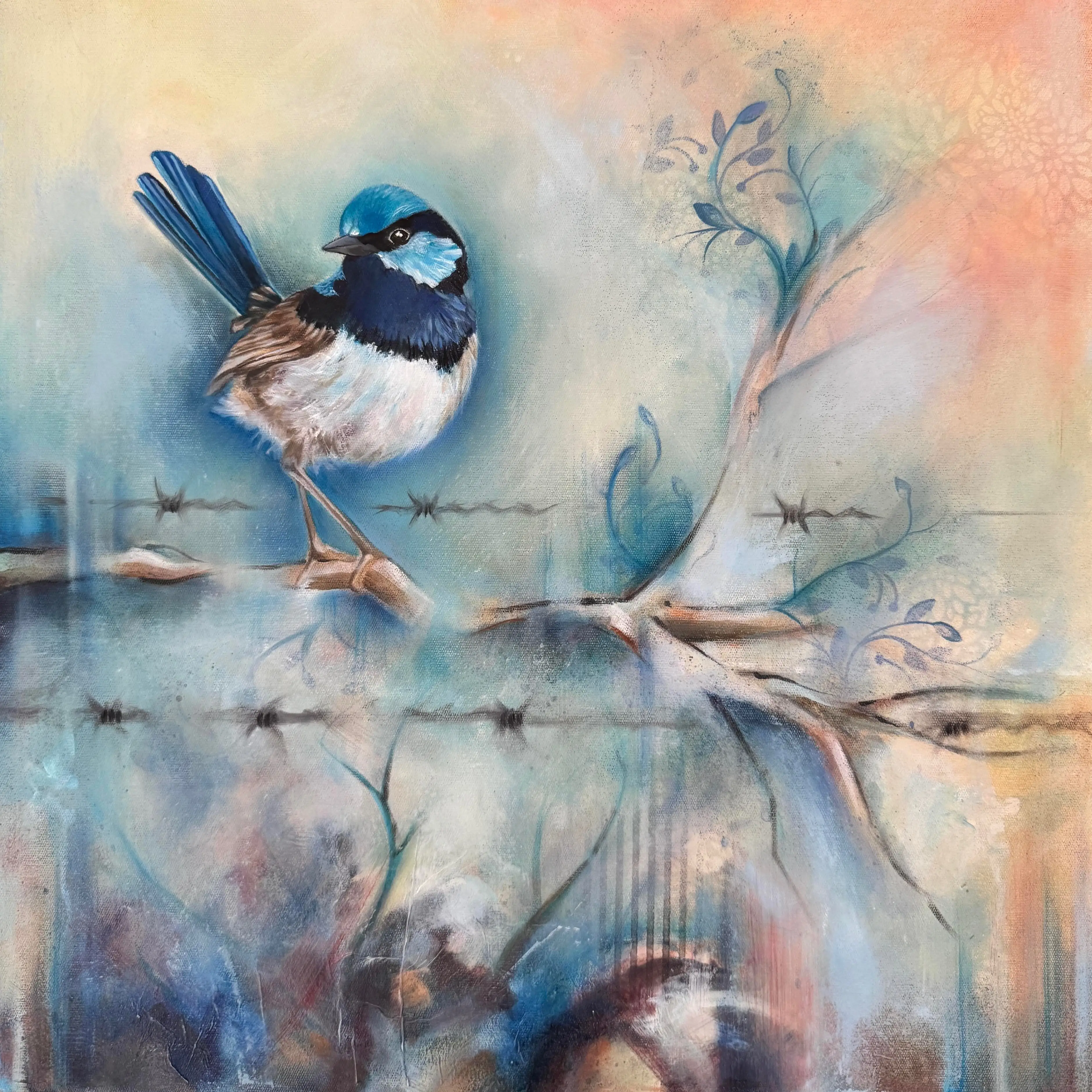 Superb fairy wren modern original art framed 