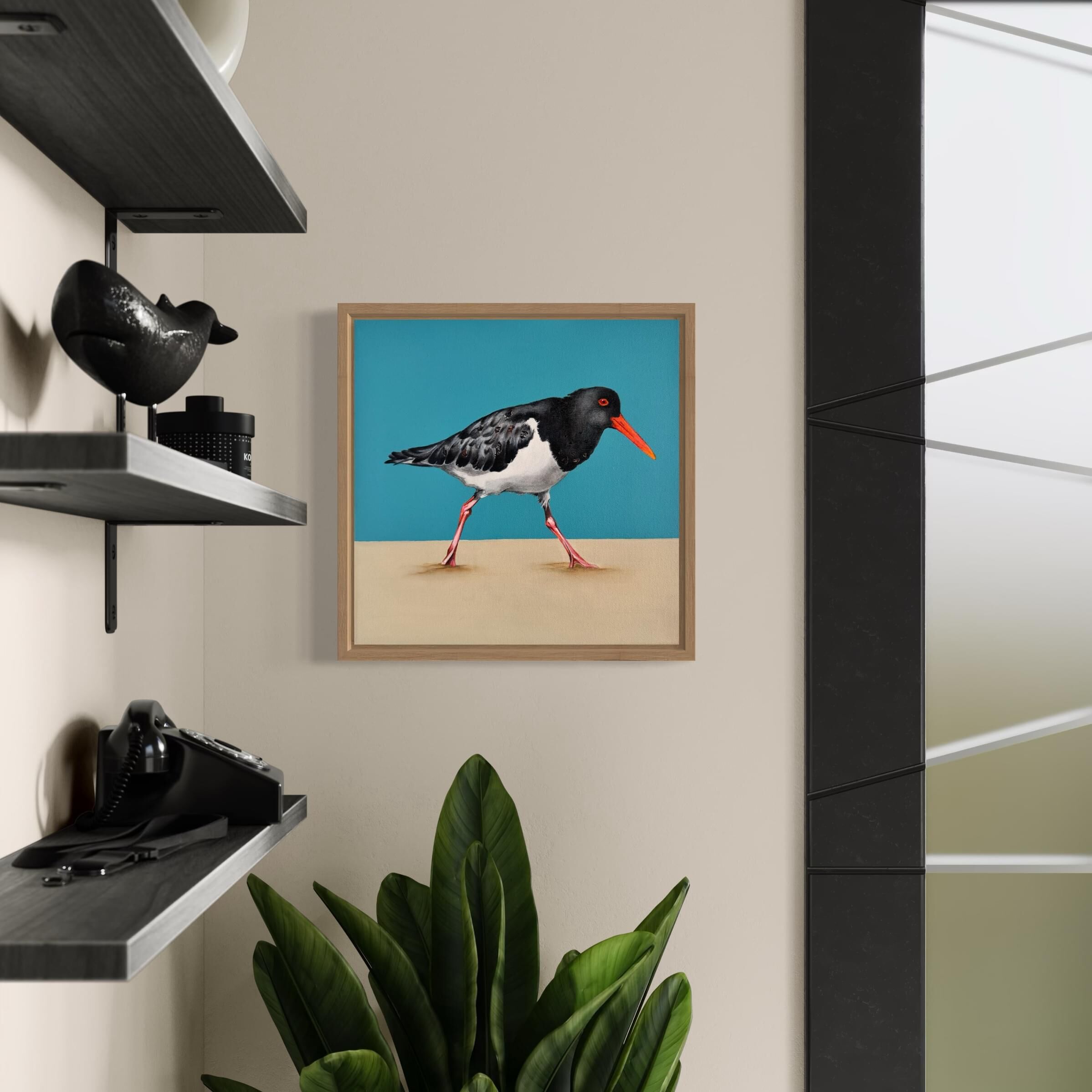 Australian Pied Oystercatcher modern original art framed