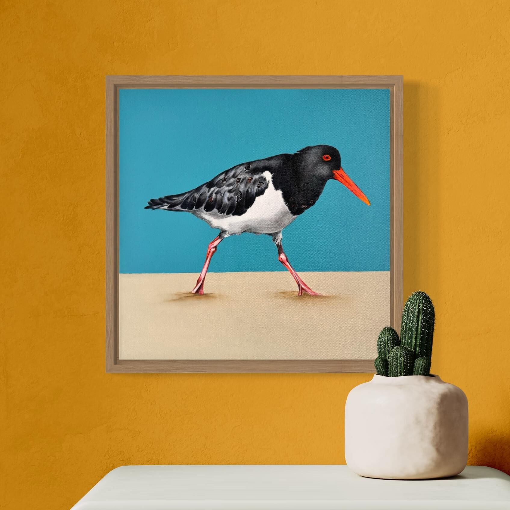 Australian Pied Oystercatcher modern original art framed