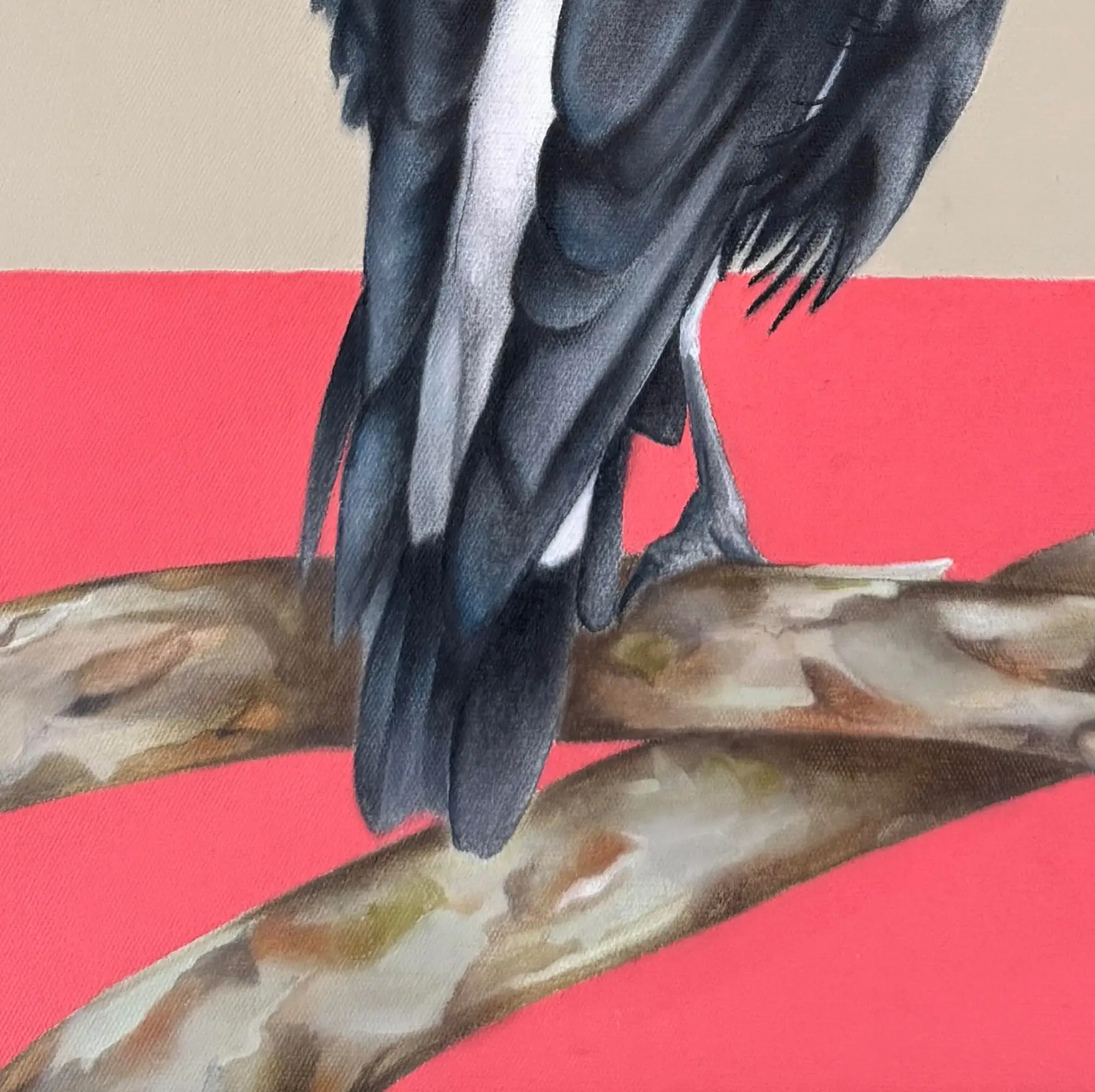 Australian baby magpie original art framed 