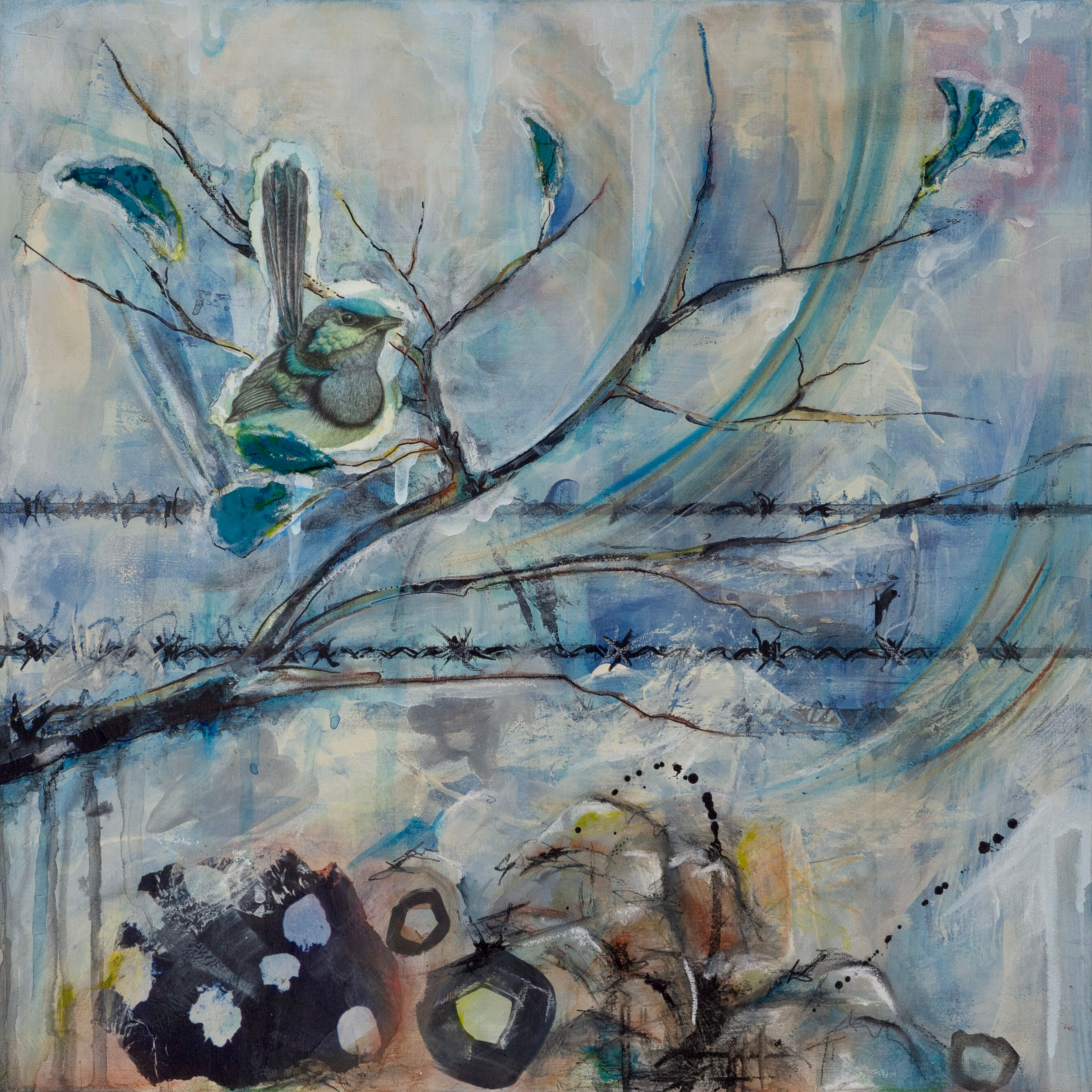 7.1-Blue-Wren-Rocks-Barbed-Wire-Unframed