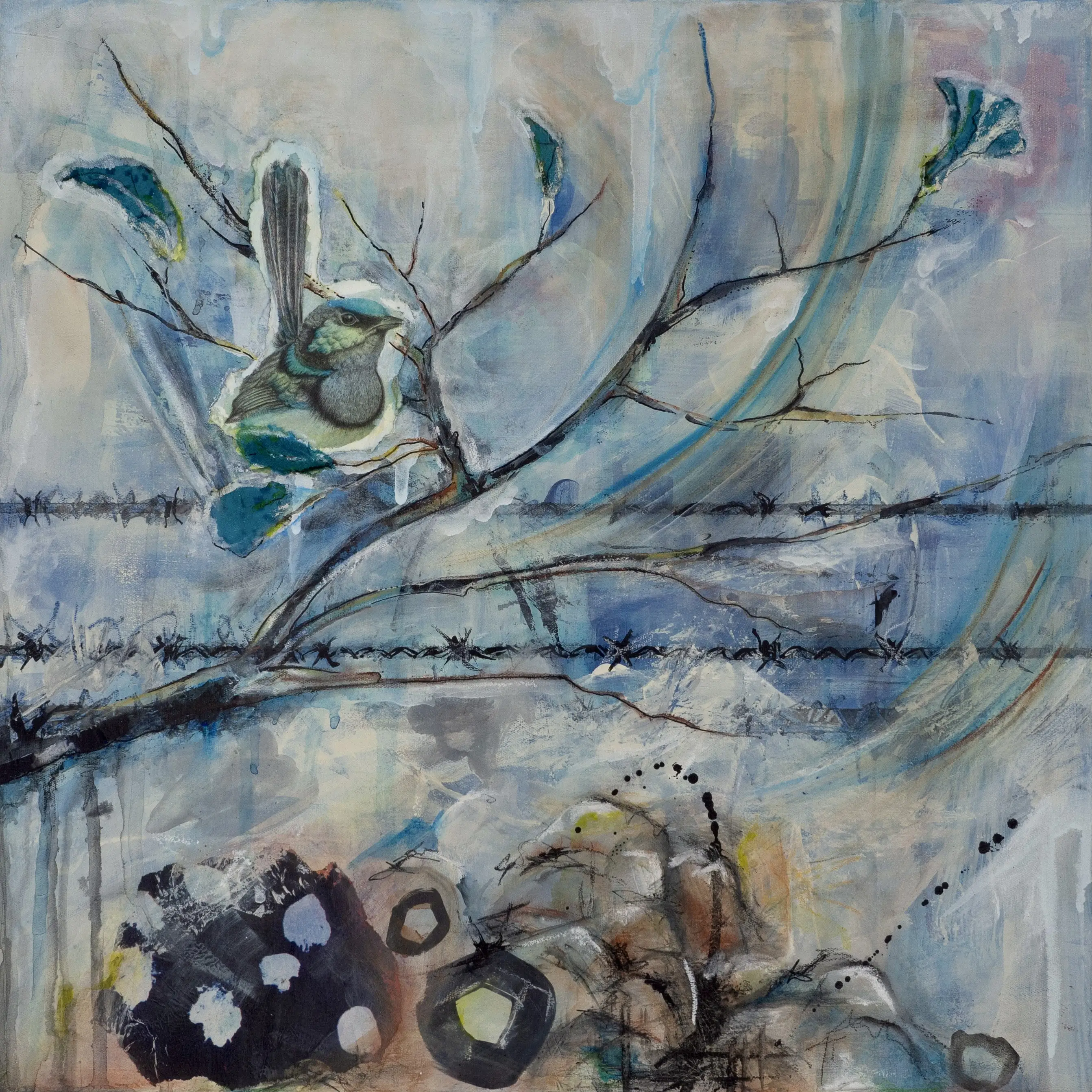 7.1-Blue-Wren-Rocks-Barbed-Wire-Unframed